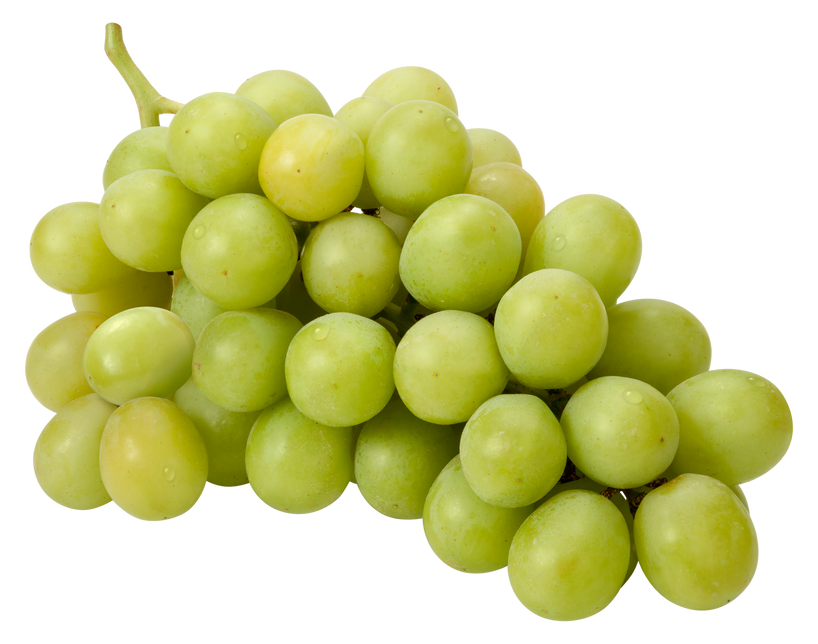 Healthy Grape Bunch